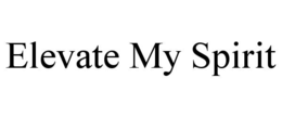 ELEVATE MY SPIRIT trademark