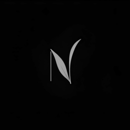 N trademark