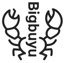 BIGBUYU trademark