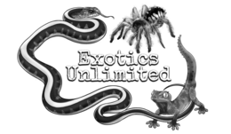EXOTICS UNLIMITED trademark