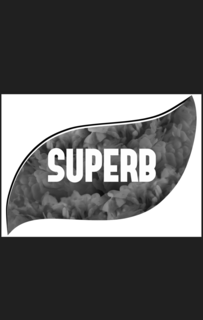 SUPERB trademark