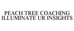 PEACH TREE COACHING ILLUMINATE UR INSIGHTS trademark