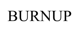 BURNUP trademark