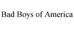 BAD BOYS OF AMERICA trademark