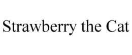 STRAWBERRY THE CAT trademark