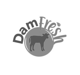 DAM FRESH trademark