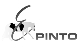 E PINTO trademark