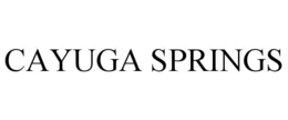 CAYUGA SPRINGS trademark