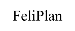 FELIPLAN trademark