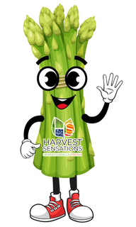 HS HARVEST SENSATIONS SENSATIONALLY FRESH trademark