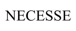 NECESSE trademark