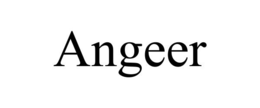 ANGEER trademark