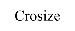 CROSIZE trademark