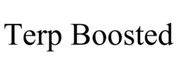 TERP BOOSTED trademark