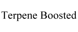 TERPENE BOOSTED trademark