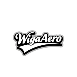 WIGAAERO trademark