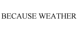 BECAUSE WEATHER trademark