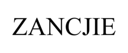 ZANCJIE trademark