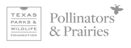 TEXAS PARKS & WILDLIFE FOUNDATION POLLINATORS & PRAIRIES trademark