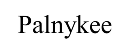 PALNYKEE trademark