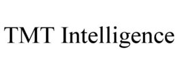 TMT INTELLIGENCE trademark