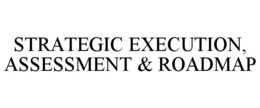 STRATEGIC EXECUTION, ASSESSMENT & ROADMAP trademark