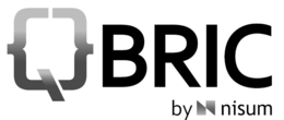 QBRIC BY N NISUM trademark