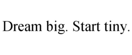 DREAM BIG. START TINY. trademark