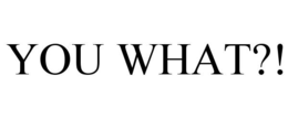 YOU WHAT?! trademark