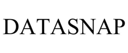 DATASNAP trademark
