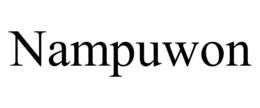 NAMPUWON trademark