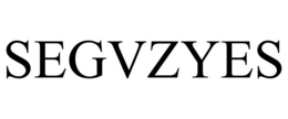 SEGVZYES trademark