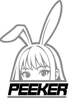 PEEKER trademark