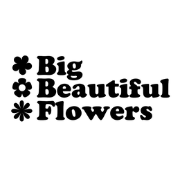BIG BEAUTIFUL FLOWERS trademark