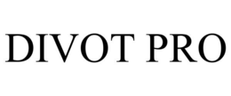 DIVOT PRO trademark