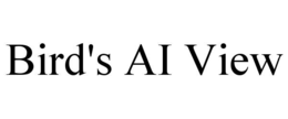 BIRD'S AI VIEW trademark