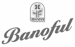 BANOFUL trademark