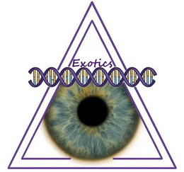 EXOTICS trademark