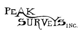 PEAK SURVEYS INC. trademark
