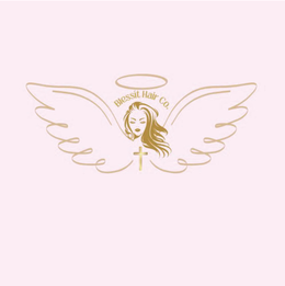 BLESSIT HAIR CO. trademark