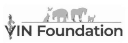 VIN FOUNDATION trademark