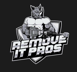 REMOVE IT PROS trademark