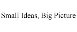 SMALL IDEAS, BIG PICTURE trademark