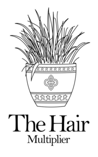THE HAIR MULTIPLIER trademark