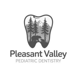 PLEASANT VALLEY PEDIATRIC DENTISTRY trademark