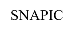 SNAPIC trademark