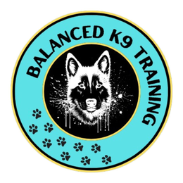 BALANCED K9 TRAINING trademark
