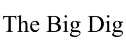 THE BIG DIG trademark