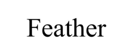 FEATHER trademark