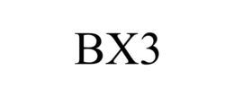 BX3 trademark
